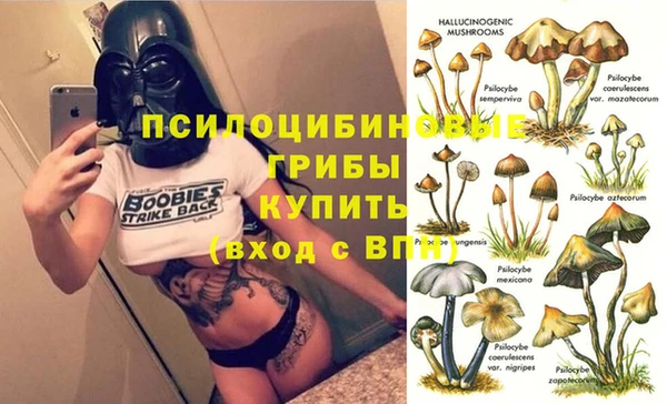 крисы Богданович