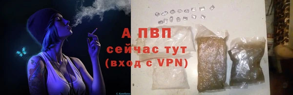 стафф Бородино