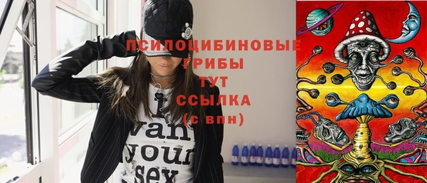 крисы Богданович