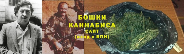 крисы Богданович