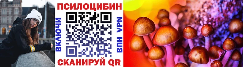 Галлюциногенные грибы мицелий мега ссылка Северск